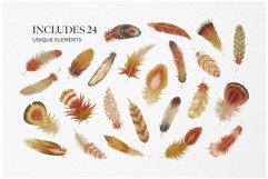 Feathers Watercolor Clipart Product Image 9