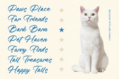 Feature Liften - Modern Brush Font Product Image 17