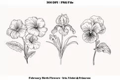 February Birth Month Flower PNG  February birth Flower Png