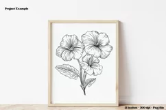 February Birth Month Flower PNG  February birth Flower Png