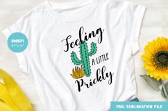 Cactus Quote Design