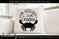 Funny Quote Don't Be Crabby SVG Funny Sarcastic SVG Cut File Product Image 3
