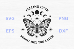 Feeling Cute might Hex You Later - Butterfly SVG Product Image 1