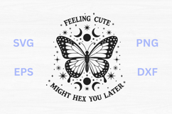 Feeling Cute might Hex You Later - Butterfly SVG Product Image 1