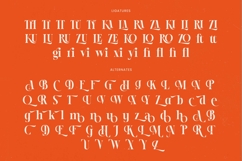 Female Halzita - Modern Alternate Serif Product Image 19