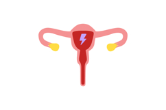 Menstrual Cycle &amp; Women's Health Wellnes Period Product Image 2
