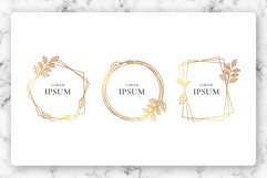 Feminine Luxury Gold Labels Product Image 1