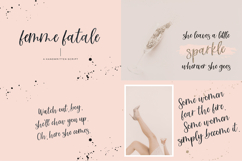 Handwriting Font Mini Bundle Product Image 4