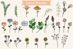 Meadow Ferns &amp; Wild Flowers | Color Hand Drawn Leaves, Plant Product Image 2