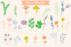 Meadow Ferns &amp; Wild Flowers | Color Hand Drawn Leaves, Plant Product Image 3