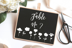 Meadow Ferns &amp; Wild Flowers | White Hand Drawn Leaves, Plant Product Image 6