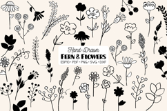 Meadow Ferns &amp; Wild Flowers | Hand Drawn Nature, Leaf, Plant Product Image 1