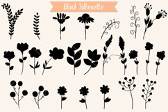 Meadow Ferns &amp; Wild Flowers | Hand Drawn Nature, Leaf, Plant Product Image 3