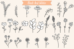Meadow Ferns &amp; Wild Flowers | Hand Drawn Nature, Leaf, Plant Product Image 4