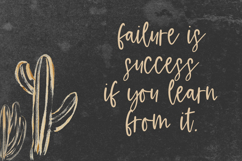 Fernwild Script Product Image 4