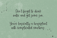 Fernwild Script Product Image 7