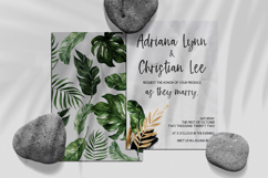 Fernwild Script Product Image 8