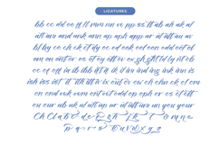 Festival Routes - Modern Script Font Product Image 14