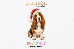 Holiday PNG design featuring a realistic watercolor Basset Hound with characteristic long ears, short legs, and a slightly solemn expression topped with a Christmas Santa hat.