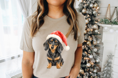 Christmas Dachshund PNG, Watercolor Wiener Dog in Santa Hat Product Image 3