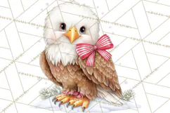 Christmas Woodland Animals PNG, Holiday Forest Clipart Product Image 5