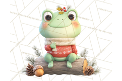 Whimsical Frog Christmas Clipart PNG, Holiday Frog Product Image 4