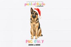Festive pet PNG featuring a German Shepherd with pointed ears, expressive brown eyes and a red Santa hat. The dog is painted in a detailed, softly textured style.
