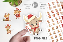 Festive Highland Calf Sticker Product Image 1