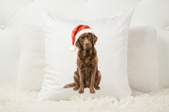 Christmas Chocolate labrador PNG, Chocolate Lab PNG Product Image 4