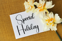 Festive Write Product Image 3