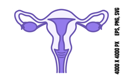 Colored Uterus Icon Product Image 1