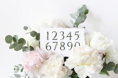 Olive Wedding Botanical Numbers Table modern wedding numbers Product Image 6