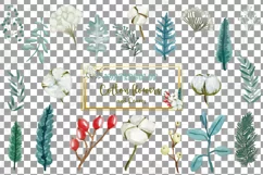 Cotton bolls and fir branch leafy autumn and winter decor Product Image 19
