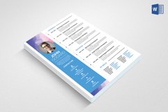 Professional CV Product Image 3