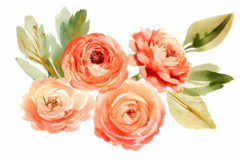 Watercolor soft peony bouquet with green leaves Product Image 1