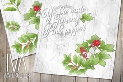 Flowers and herbs digital paper pack Product Image 8