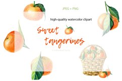 Sweet Tangerines. Watercolor clip-art. Product Image 2
