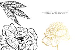 Peony svg, Hand drawn peony flowers PNG, Flowers SVG Product Image 4
