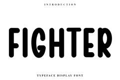 Fighter Product Image 1