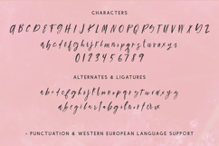 Figmented Script Product Image 10