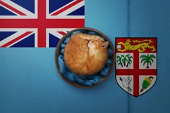 Backgrounds for Photography & Marketing. Fiji Product Image 8