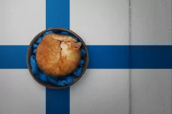 Backgrounds for Photography & Marketing. Finland Product Image 8