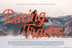 Finland - Retro Script Logotype Font Product Image 13