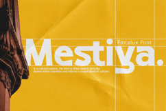 Fintalux Variable Product Image 10