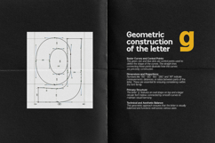 Fintalux Variable Product Image 3