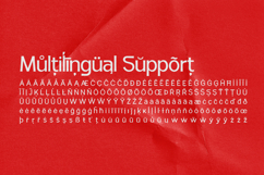 Fintalux Variable Product Image 6