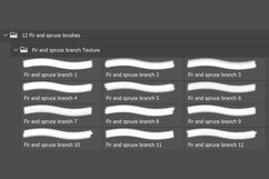 Adobe Photoshop fir and spruce branch brush pack Product Image 3