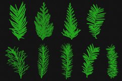 Adobe Photoshop fir and spruce branch brush pack Product Image 2