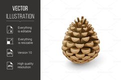 Fir Cone Product Image 1