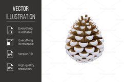 Pine Cone Product Image 1